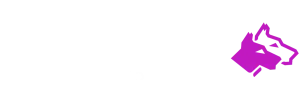 Dobermans Studio – logo studia treningu personalnego